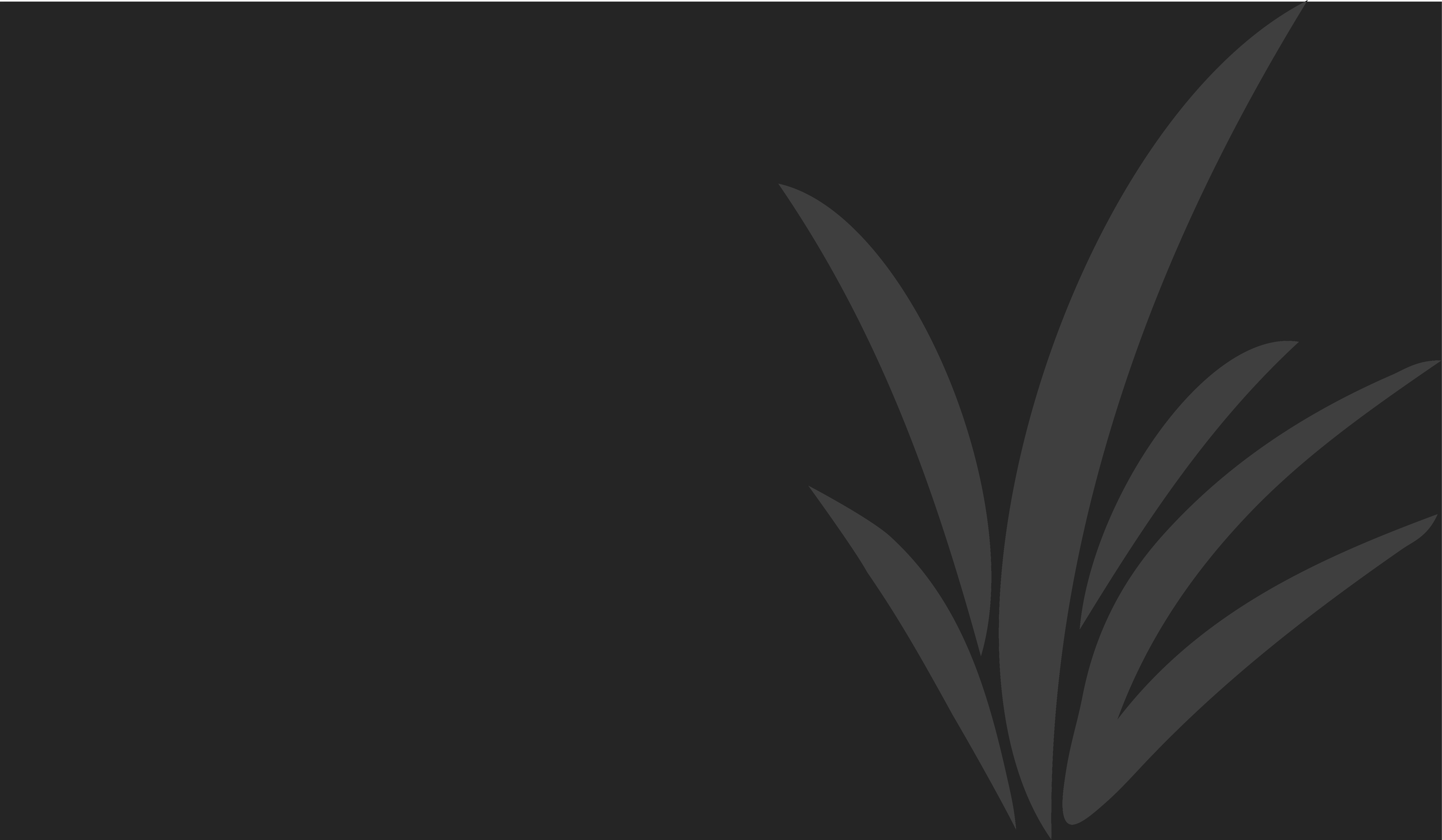 northern lawns hero overlay
