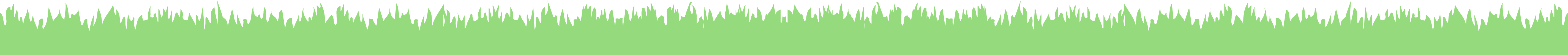 Northern Lawns Turf Divider
