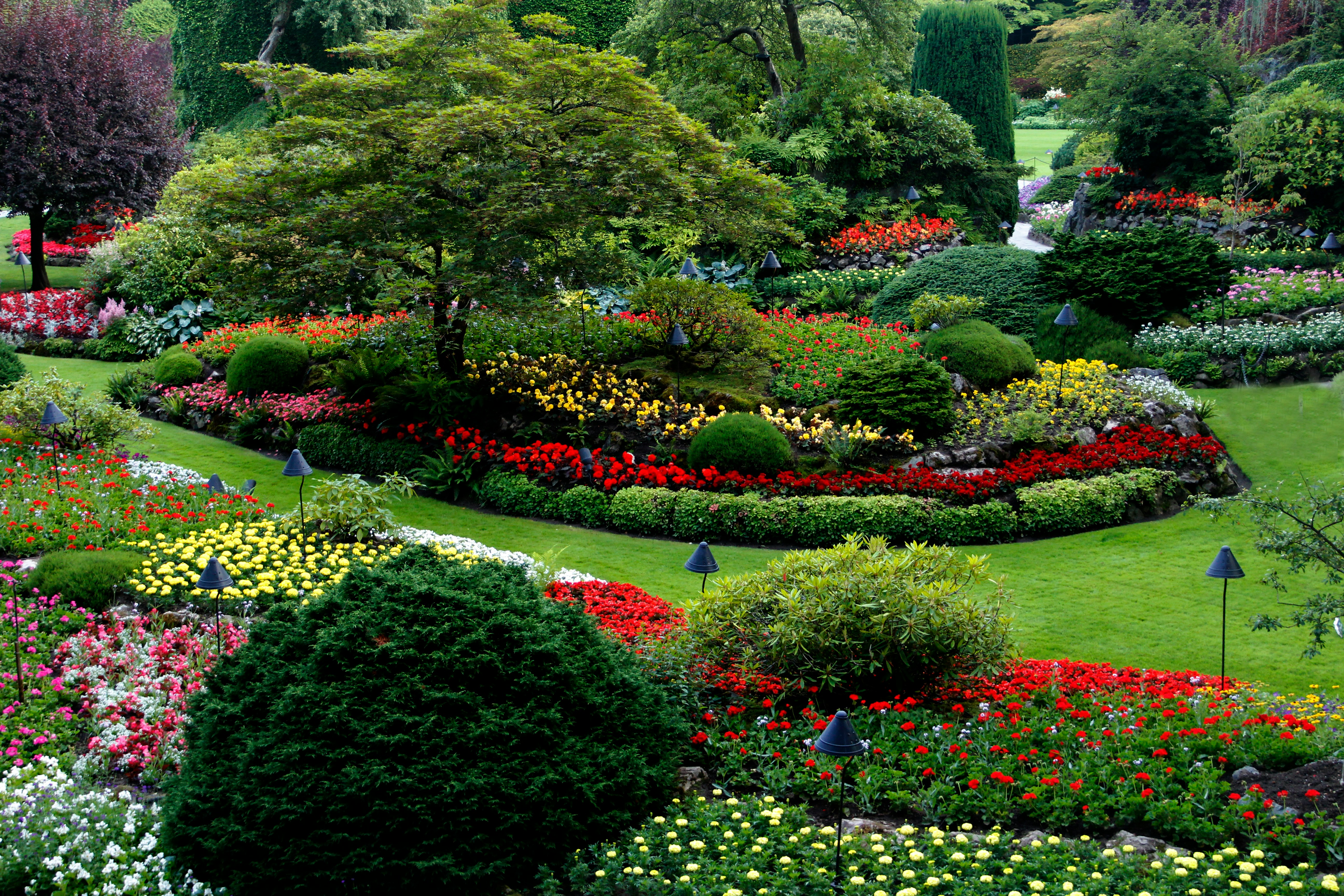 northern lawns hero background image
